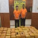Dua Kurir 255 Kilogram Ganja Asal Aceh Diselidiki Polda Sumut