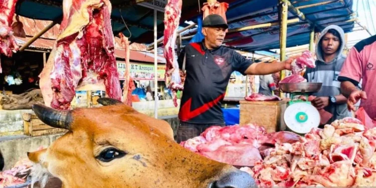 Aceh Barat Beli Puluhan Ternak dari Bantuan Presiden untuk Korban Bencana