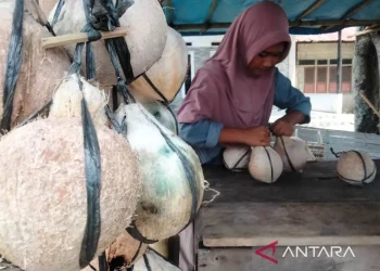 Permintaan Kelapa Bakar Selama Ramadhan di Aceh Barat Meningkat