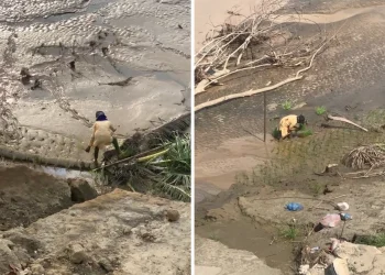 29 Desa Hilang dan 94 Ribu Hektare Sawah Rusak Imbas Bencana Aceh-Sumatra