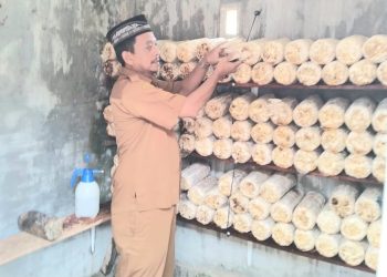 SMAN 9 Banda Aceh Budidayakan Jamur