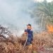 Diguyur Hujan, Dua Lokasi Karhutla di Aceh Barat Padam