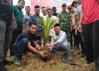 Pemkab Aceh Jaya Tanam Perdana Sawit di Lahan Eks Kombatan Sagoe Pasie Raya