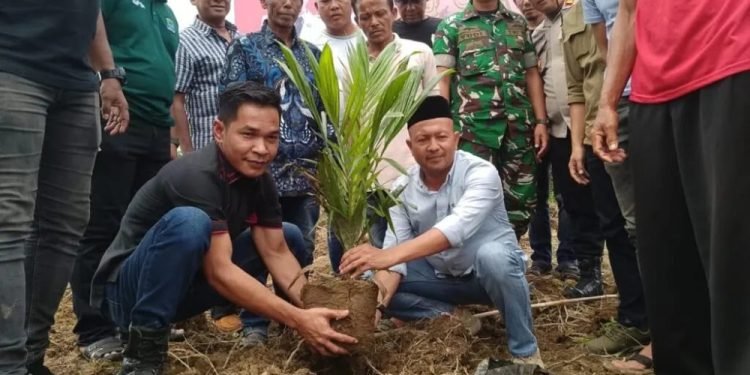 Pemkab Aceh Jaya Tanam Perdana Sawit di Lahan Eks Kombatan Sagoe Pasie Raya