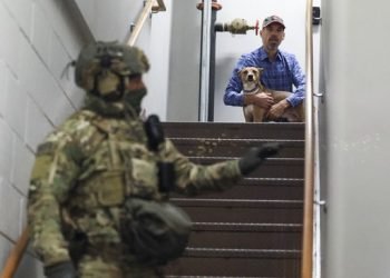 Pelajar Imigran Belajar dari Rumah Demi Hindari Diseret Petugas ICE