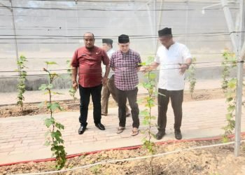 Budidaya Anggur dengan Greenhouse, Kadisdik Aceh Sambangi SMKN 1 Peureulak