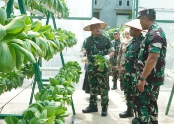 Kasdam Iskandar Muda Apresiasi Kodim 0110/Abdya atas Inovatif Ketahanan Pangan