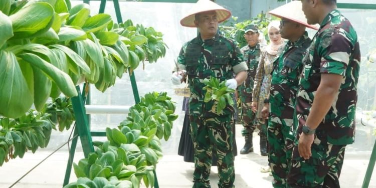 Kasdam Iskandar Muda Apresiasi Kodim 0110/Abdya atas Inovatif Ketahanan Pangan