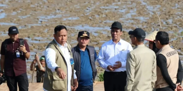 Distan Aceh Utara Intensifkan Sawah Tak Terdampak Bencana