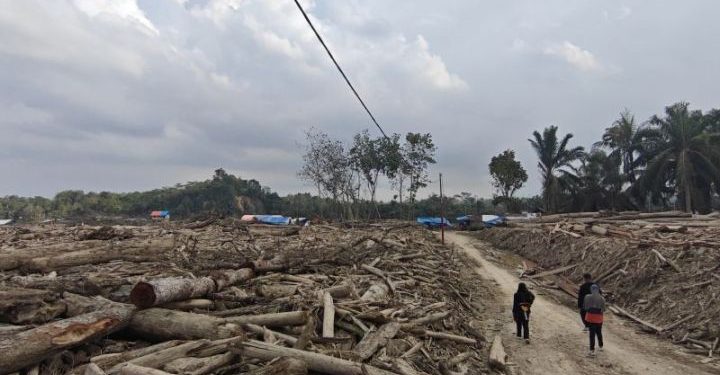 Penyintas Bencana Aceh Timur Beralih Profesi Jadi Buruh Kayu