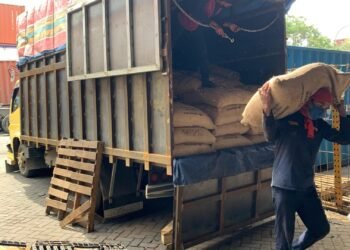 Tak Tangung-tangung, PT PEMA Ekspor 19 Ton Kopi Gayo Perdana ke Amerika Serikat