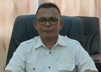 Meuseraya Toet Lemang HUT Abdya, Peluang Ekonomi Bagi Masyarakat