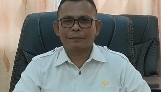 Meuseraya Toet Lemang HUT Abdya, Peluang Ekonomi Bagi Masyarakat