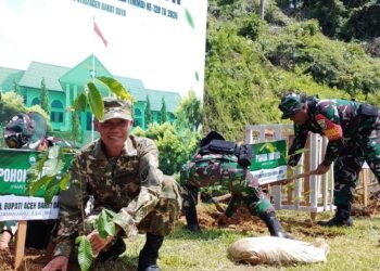 Peringati Hari Bumi, Wabup Abdya Tanam Pohon di Lokasi TMMD