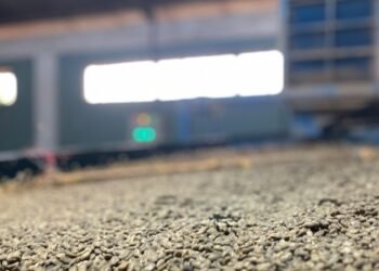 Jaga Reputasi Global, PEMA Siap Ekspor Tahap Kedua Kopi Gayo ke AS