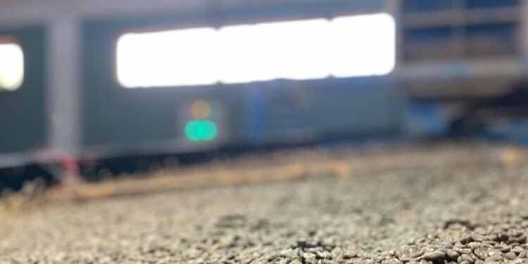 Jaga Reputasi Global, PEMA Siap Ekspor Tahap Kedua Kopi Gayo ke AS