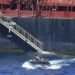 Perompak Bajak Kapal Tanker di Laut Somalia, 4 ABK WNI Jadi Sandera