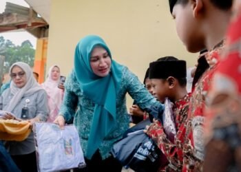 Ketua TP PKK Aceh Timur Kunjungi SD Negeri Tanah Rata di Peureulak