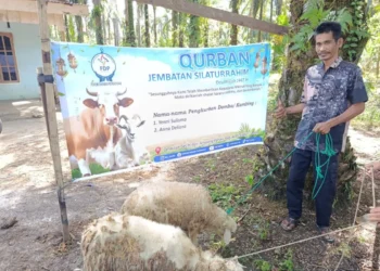 FDP Salurkan 54 Ekor Hewan Kurban Ke Perbatasan Aceh
