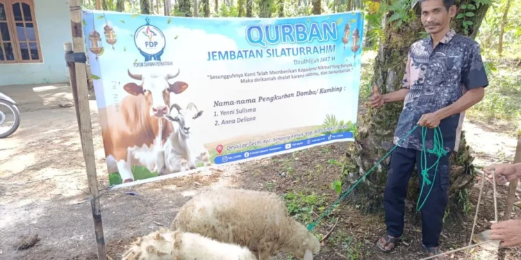 FDP Salurkan 54 Ekor Hewan Kurban Ke Perbatasan Aceh