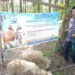 FDP Salurkan 54 Ekor Hewan Kurban Ke Perbatasan Aceh