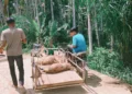 Dompet Dhuafa Aceh Salurkan Kurban di Riseh Teungoh Sawang