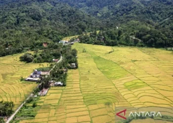 Masyarakat Nagan Raya Surati Presiden Prabowo Tolak Tambang