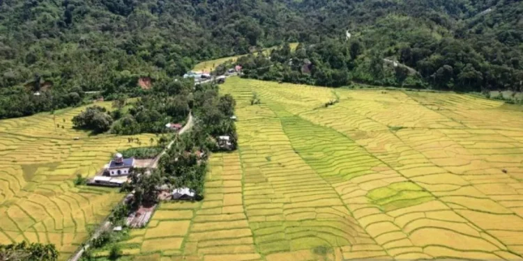 Masyarakat Nagan Raya Surati Presiden Prabowo Tolak Tambang