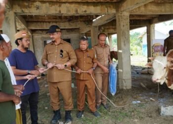 Bupati Armia Serahkan 2 Ekor Sapi Kurban dari Presiden Prabowo