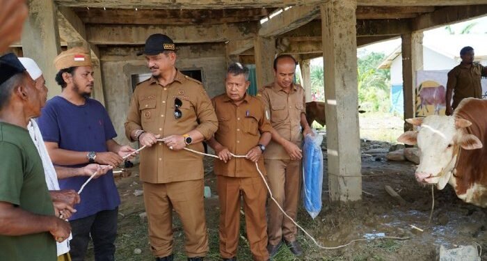 Bupati Armia Serahkan 2 Ekor Sapi Kurban dari Presiden Prabowo