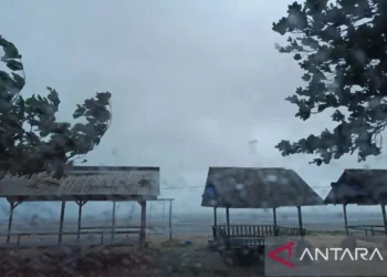 Aceh Berpotensi Dilanda Hujan Lebat hingga Angin Kencang