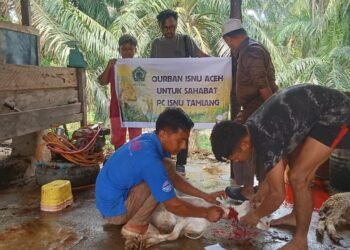 PW ISNU Aceh Salurkan Hewan Kurban ke Tiga Kabupaten/Kota