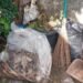 Warga Ceurih Ulee Kareng Keluhkan Sampah Tak Diangkut Hingga 10 Hari