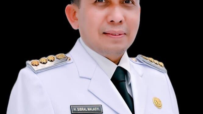 Kinerja Pidie Jaya Menguat di Era Sibral Malasyi, Data BPS Tunjukkan Tren Positif