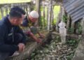 Kisah Panglima Ali Usuf, Pejuang Kluet yang Gugur Melawan Belanda di Usia 35 Tahun