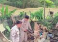 Forkopimcam Jeumpa Bersihkan Pohon dan Puing yang Menimpa Rumah Warga