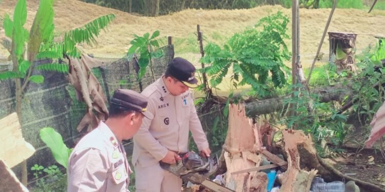 Forkopimcam Jeumpa Bersihkan Pohon dan Puing yang Menimpa Rumah Warga