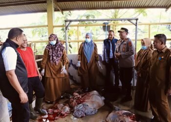 Satgas Saber Abdya Cek Keamanan dan Mutu Pangan Jelang Idul Adha