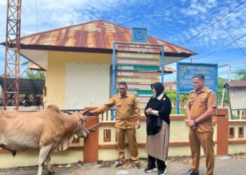 Pemko Banda Aceh Distribusikan Hewan Kurban ke Sejumlah Gampong