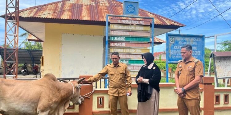 Pemko Banda Aceh Distribusikan Hewan Kurban ke Sejumlah Gampong