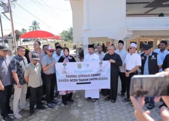 Illiza Antar Bantuan Qurban untuk Korban Bencana Pidie Jaya