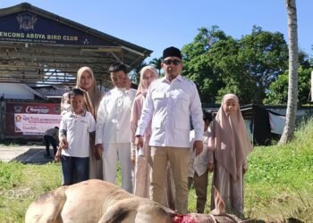 Ketua dan Kader Gerindra Abdya Sembelih Dua Ekor Sapi Kurban