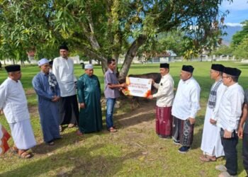 Wakil Bupati Salurkan Hewan Qurban Pemkab Aceh Besar untuk Masyarakat