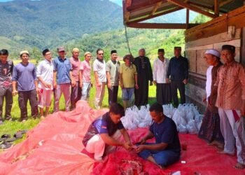 Irsan Sosiawan Gading Salurkan 19 Sapi Kurban untuk Masyarakat Aceh