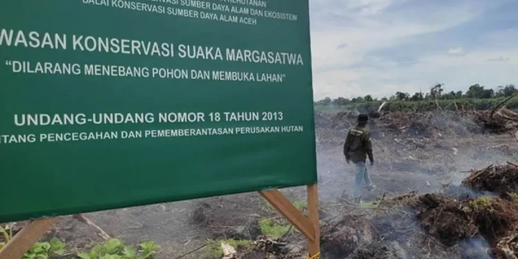 Polisi Tangkap Tiga Pelaku Perambahan Hutan SM Rawa Singkil