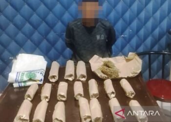Polisi Tangkap Nelayan Terduga Pengedar Belasan Paket Ganja di Aceh Barat