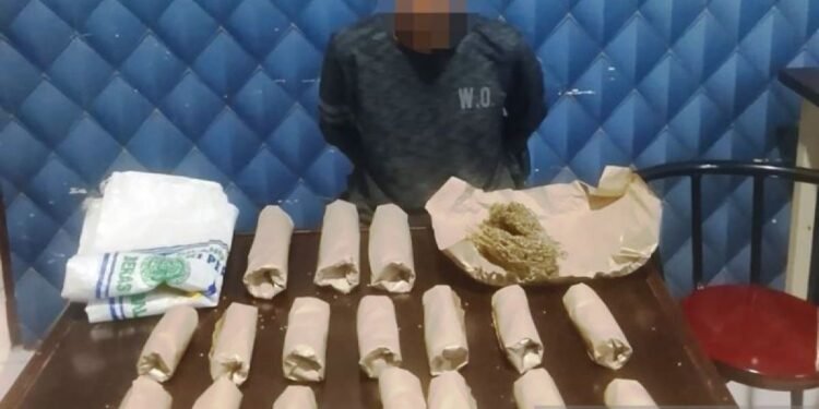 Polisi Tangkap Nelayan Terduga Pengedar Belasan Paket Ganja di Aceh Barat