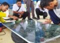 Batu Giok Aceh Peroleh Sertifikasi Hak Kekayaan Intelektual