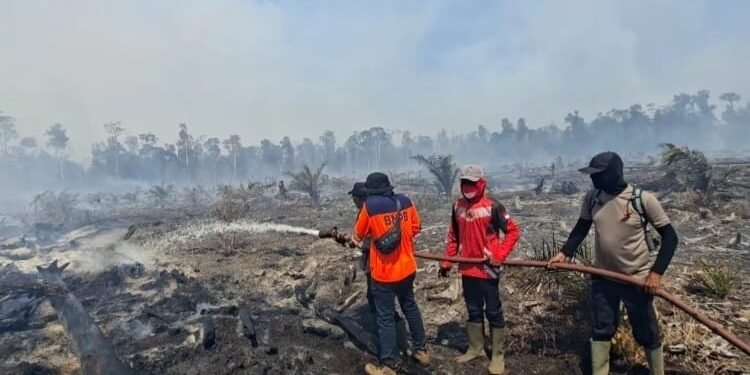 Polda Selidiki Kebakaran Hutan di 5 Kabupaten di Aceh