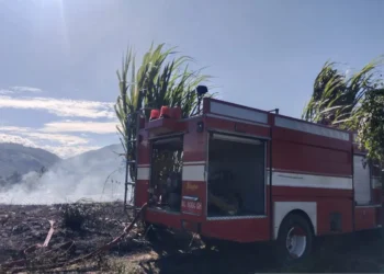 Panas dan Angin Kencang Berpotensi Perluas Karhutla di Aceh
